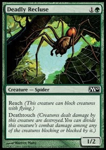 Deadly Recluse