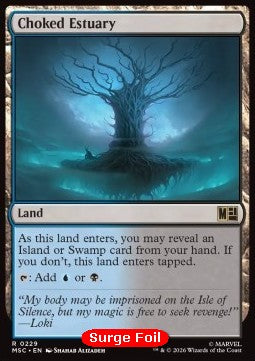 Choked Estuary