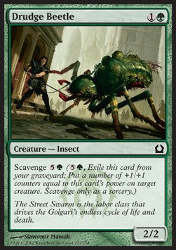 Drudge Beetle - Return to Ravnica (Common) [RTR-122]