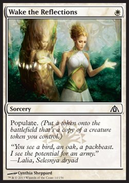 Wake the Reflections - Dragon's Maze (Common) [DGM-10]