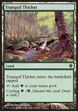 Tranquil Thicket - Commander 2013 (Common) [C13-329]