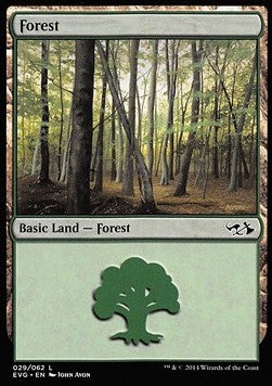 Forest (V.7) - Duel Decks: Anthology (Land) [DD3-1029]