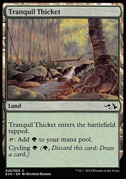 Tranquil Thicket - Duel Decks: Anthology (Common) [DD3-1027]
