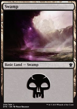 Swamp (V.1) - Dragons of Tarkir (Land) [DTK-256]