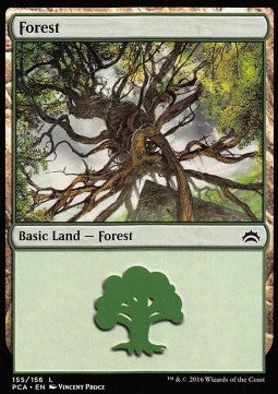 Forest (V.5) - Planechase Anthology (Land) [PCA-155]