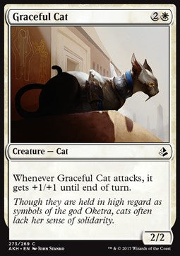Graceful Cat - Amonkhet (Common) [AKH-273]