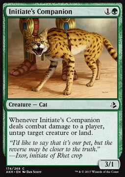 Initiate's Companion - Amonkhet (Common) [AKH-174]