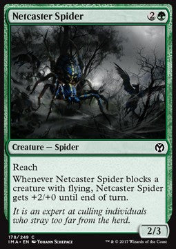 Netcaster Spider - Iconic Masters (Common) [IMA-178]