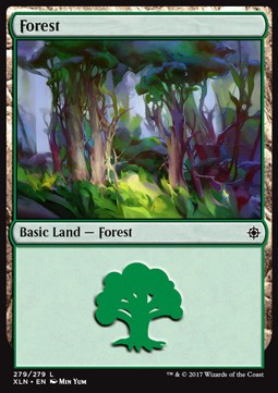 Forest (V.4) - Ixalan (Land) [XLN-279]