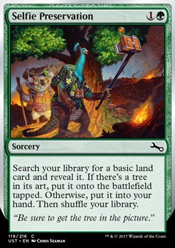 Selfie Preservation - Unstable (Common) [UST-119]
