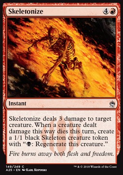Skeletonize - Masters 25 (Common) [A25-149]
