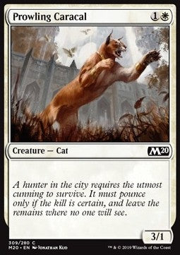 Prowling Caracal - Core 2020: Extras (Common) [XM20-309]