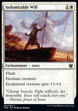 Indomitable Will - Theros Beyond Death (Common) [THB-25]