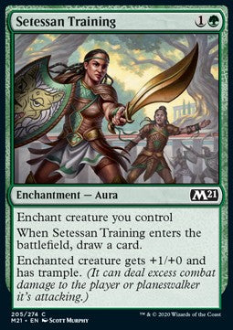 Setessan Training - Core 2021 (Common) [M21-205]