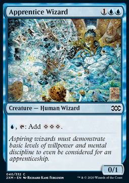 Apprentice Wizard - Double Masters (Common) [2XM-40]