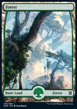 Forest (V.1) - Zendikar Rising (Land) [ZNR-278]