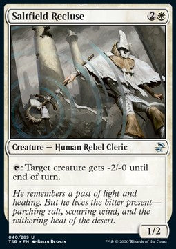 Saltfield Recluse - Time Spiral Remastered (Uncommon) [TSR-40]