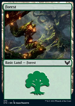 Forest (V.2) - Strixhaven: School of Mages: Extras (Land) [XSTX-375]