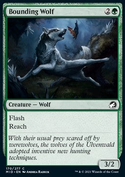 Bounding Wolf - Innistrad: Midnight Hunt (Common) [MID-170]