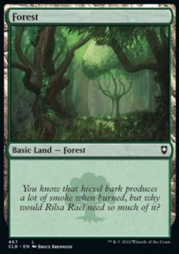 Forest (V.1) - Commander Legends: Battle for Baldur's Gate: Extras (Land) [XCLB-467]