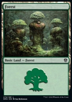 Forest (V.1) - Dominaria United (Land) [DMU-274]