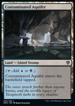 Contaminated Aquifer - Dominaria United (Common) [DMU-245]