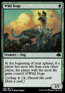 Wild Dogs