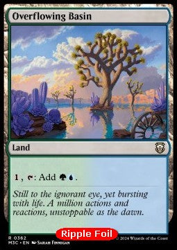 Overflowing Basin - Commander: Modern Horizons 3: Extras (Rare) [XM3C-362]