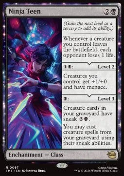 Ninja Teen - Teenage Mutant Ninja Turtles (Rare) [TMT-67]