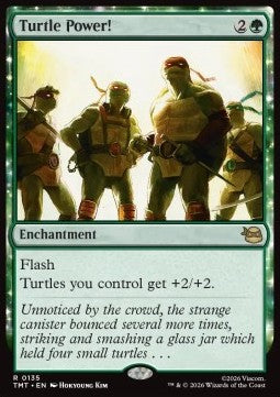 Turtle Power! - Teenage Mutant Ninja Turtles (Rare) [TMT-135]